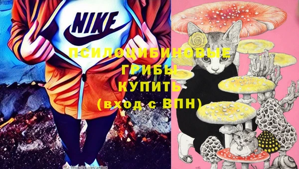 ECSTASY Балабаново