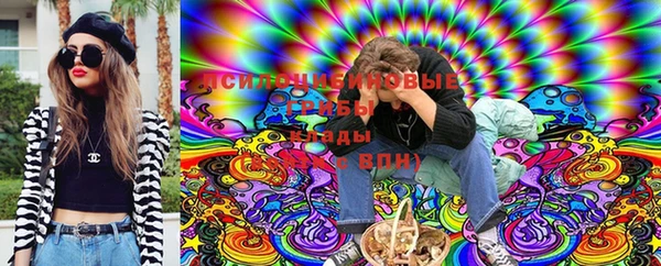 гидра Баксан
